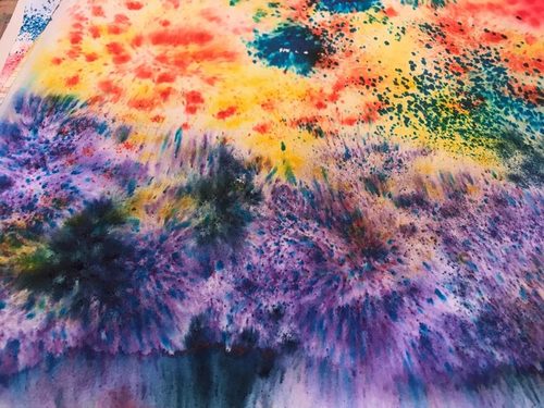 Jan, wildflowers, Brusho paint.